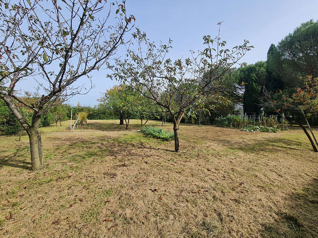 Terrain  de  1495m² cloture et arbore - photo 4