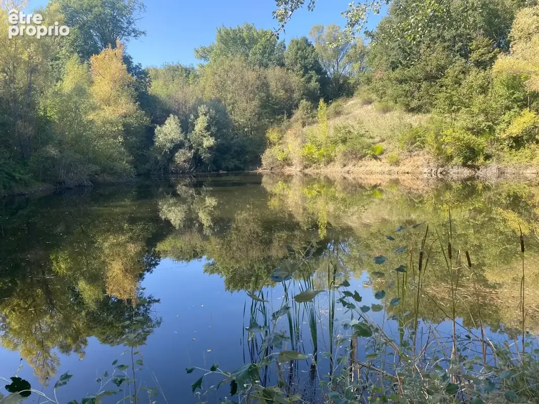 Propriété d'Exception Rénovée – 7.5 hectares - Étang privée - vue panoramique - Piscine - Source - photo 5