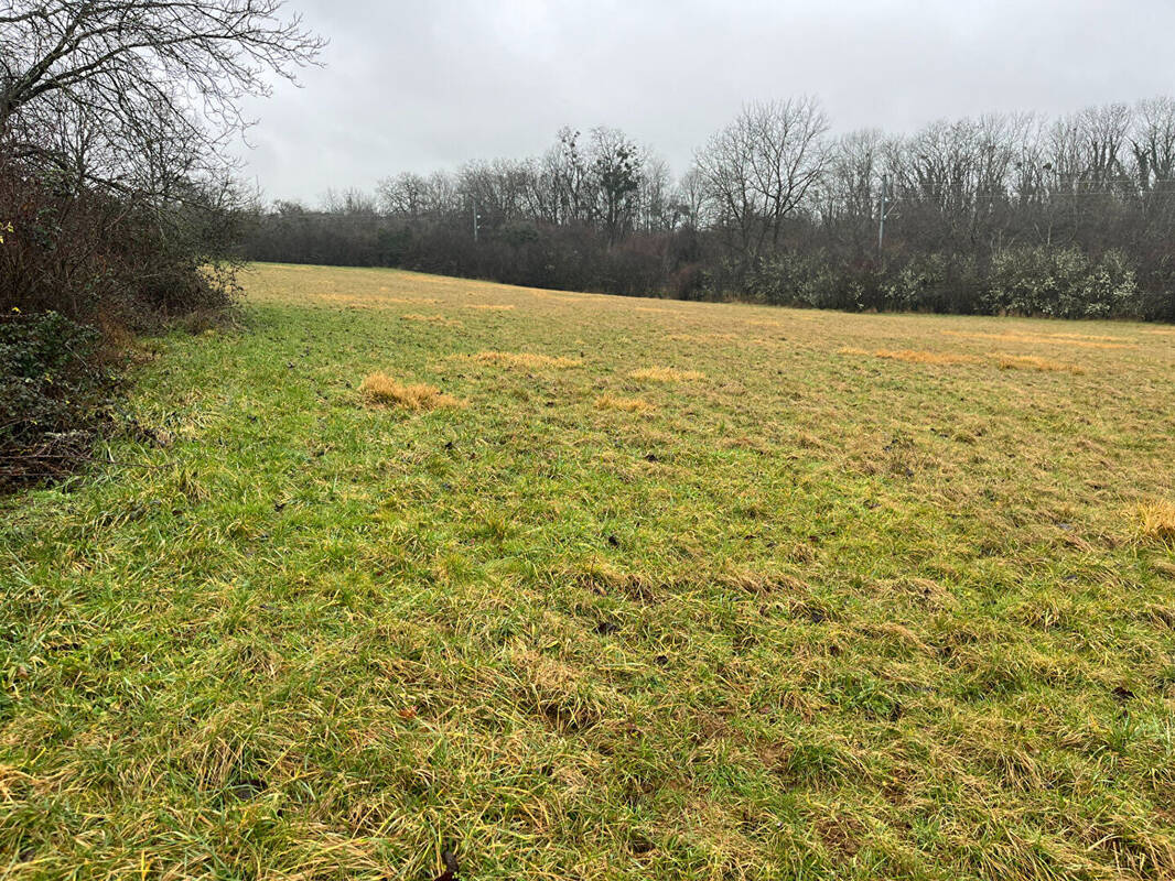 Terrain à LONS-LE-SAUNIER