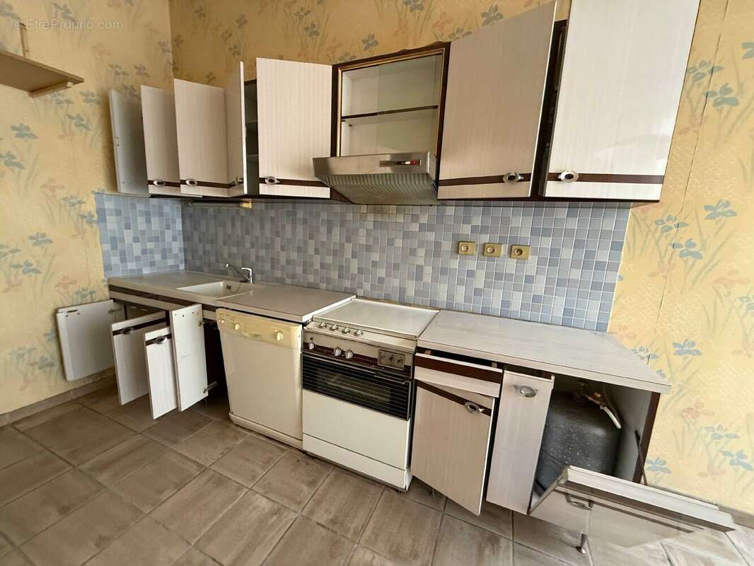 Maison 200 m² à Bourbonne-Les-Bains  - photo 5