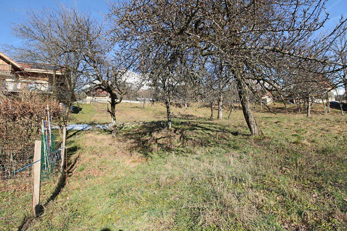 Terrain à PASSY