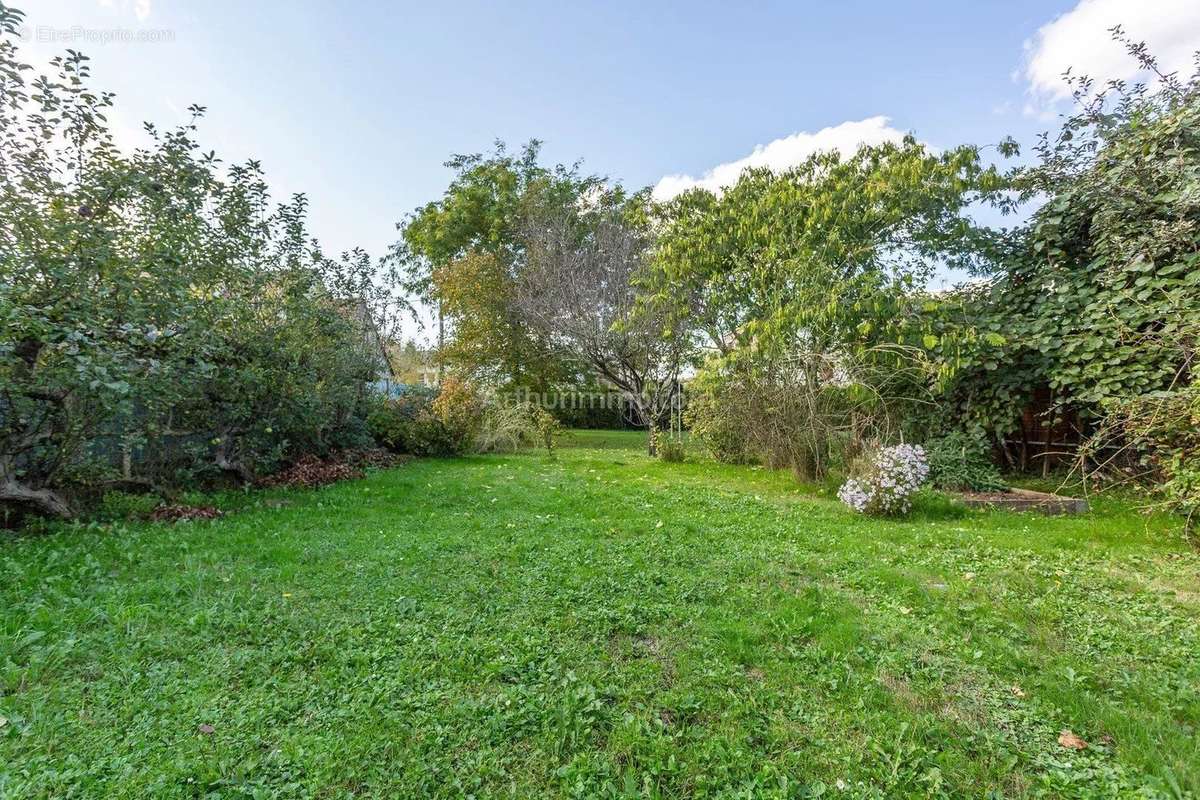 Terrain à MONTLHERY