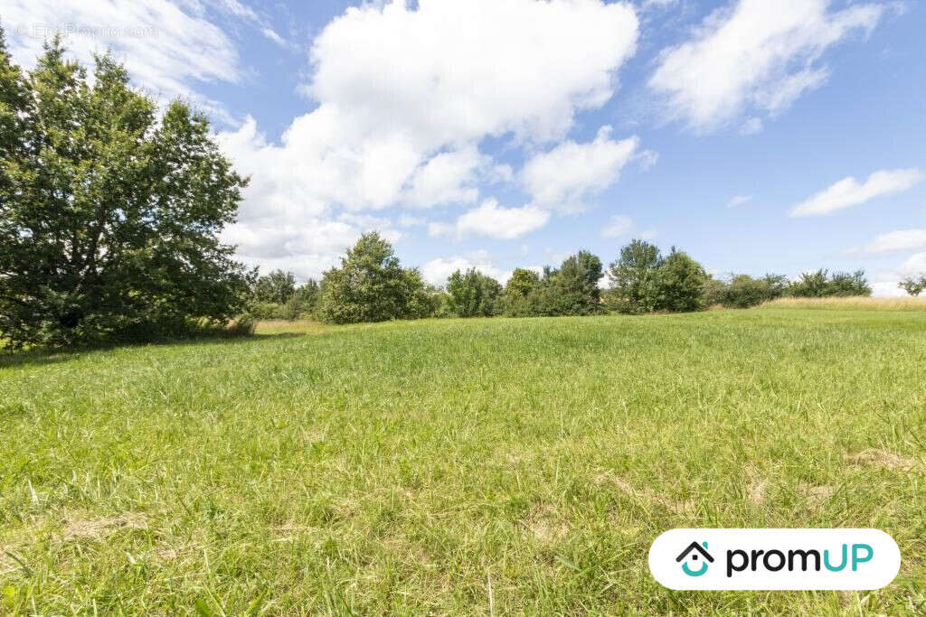 Terrain à GUENVILLER