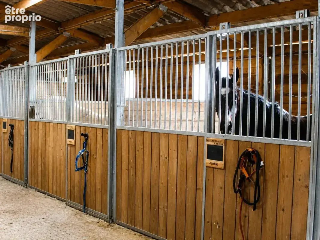 Propriété de 15 pièces de 400 m² à Revest-du-Bion - photo 16