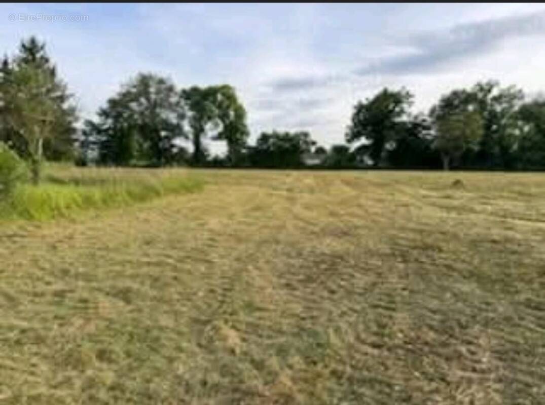Terrain à SAINT-CHRISTOPHE