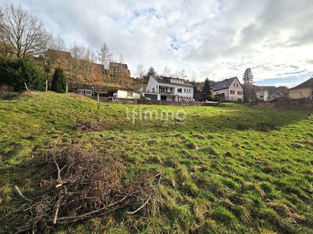 Terrain constructible – 7,10 ares – Lapoutroie - photo 3