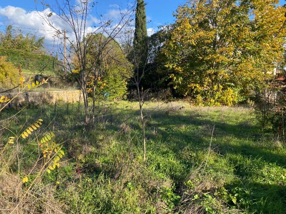 Terrain 908 m² à Carces  - photo 3