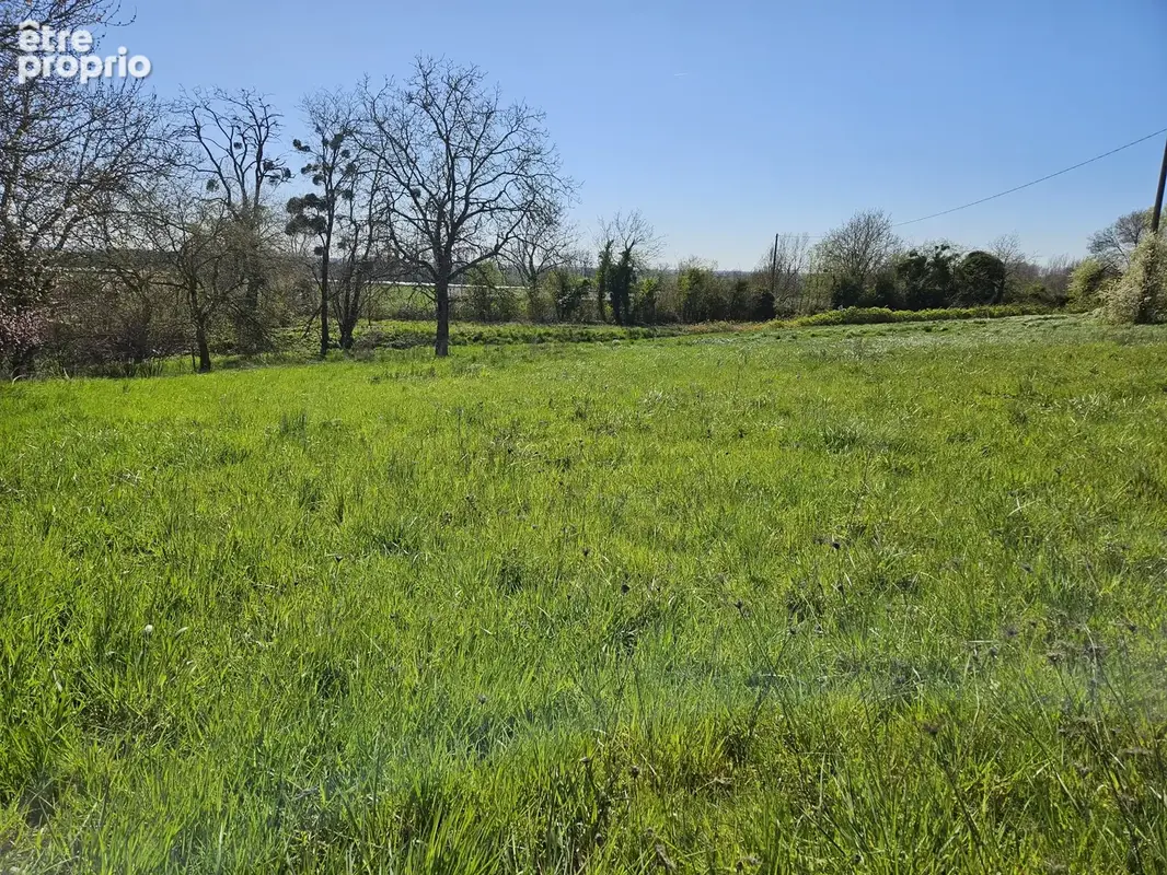 Allerey sur Saône Terrain à Bâtir - photo 1