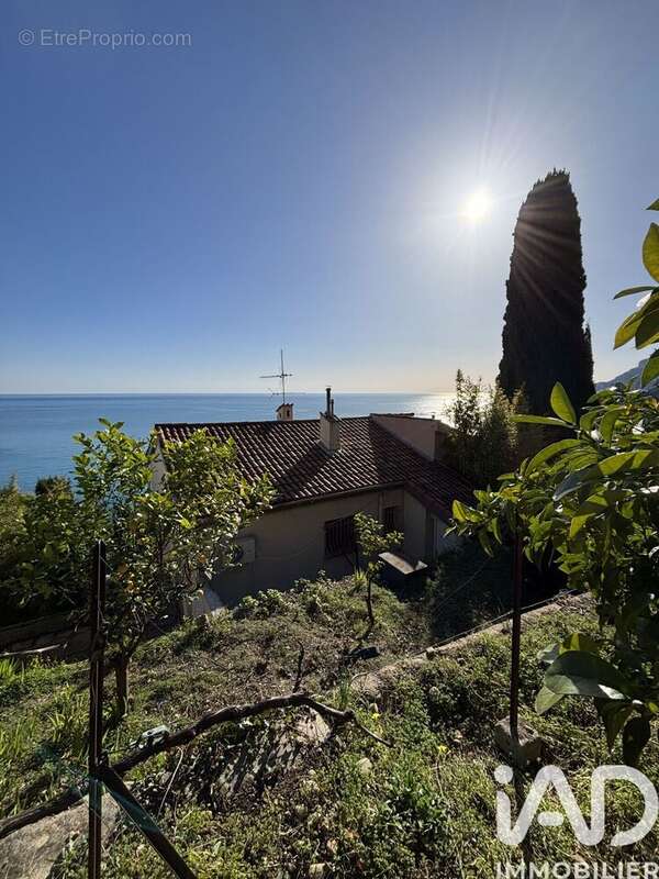 Photo 7 - Maison à ROQUEBRUNE-CAP-MARTIN