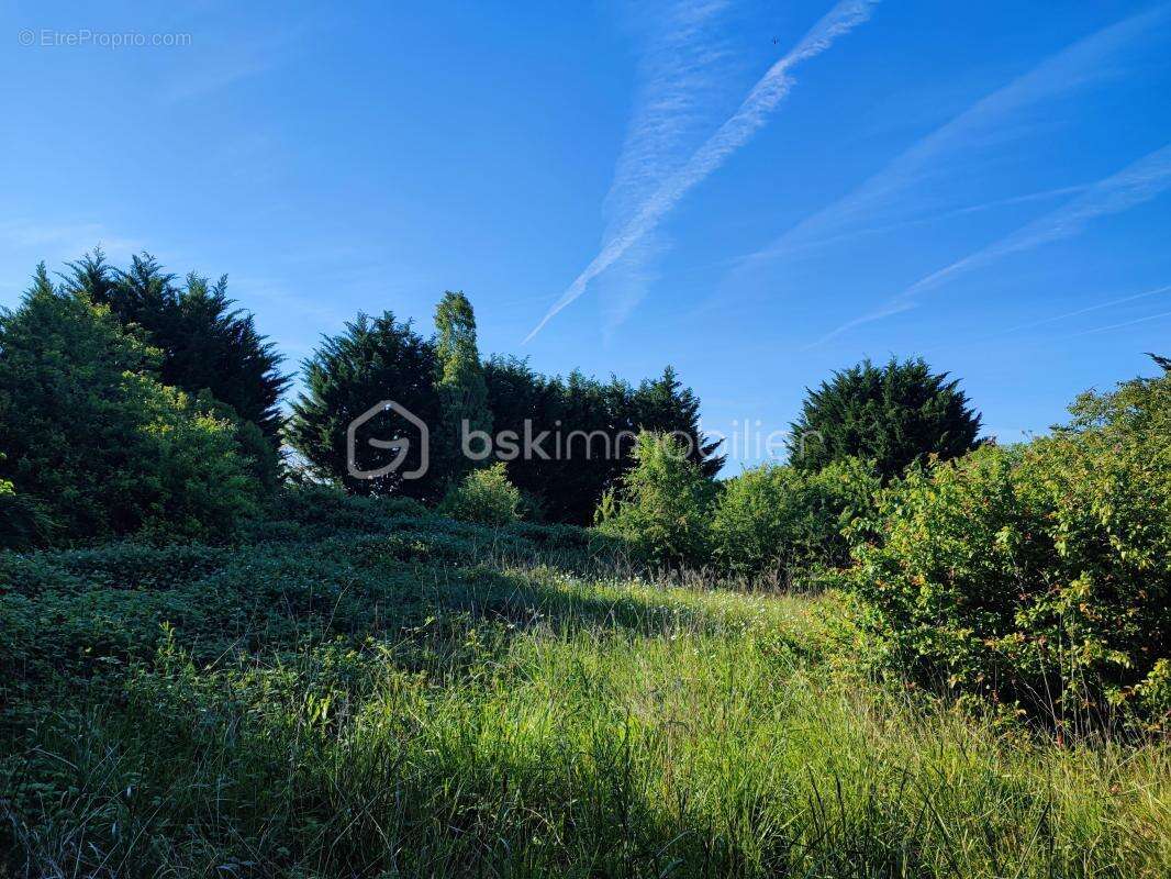 Terrain de loisir et arbres fruitiers de 5088 m² avec une belle vue - photo 2