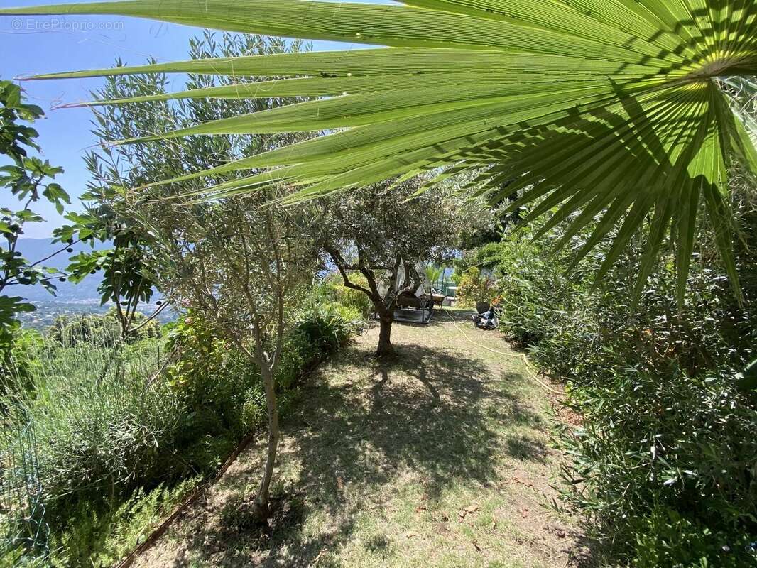 Terrain à BERRE-LES-ALPES