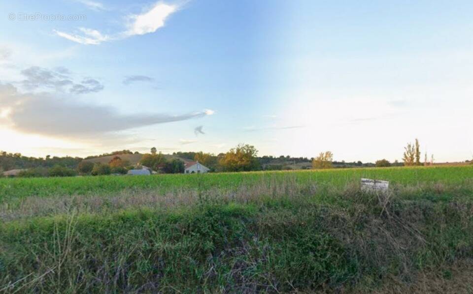 Terrain à VILLENOUVELLE