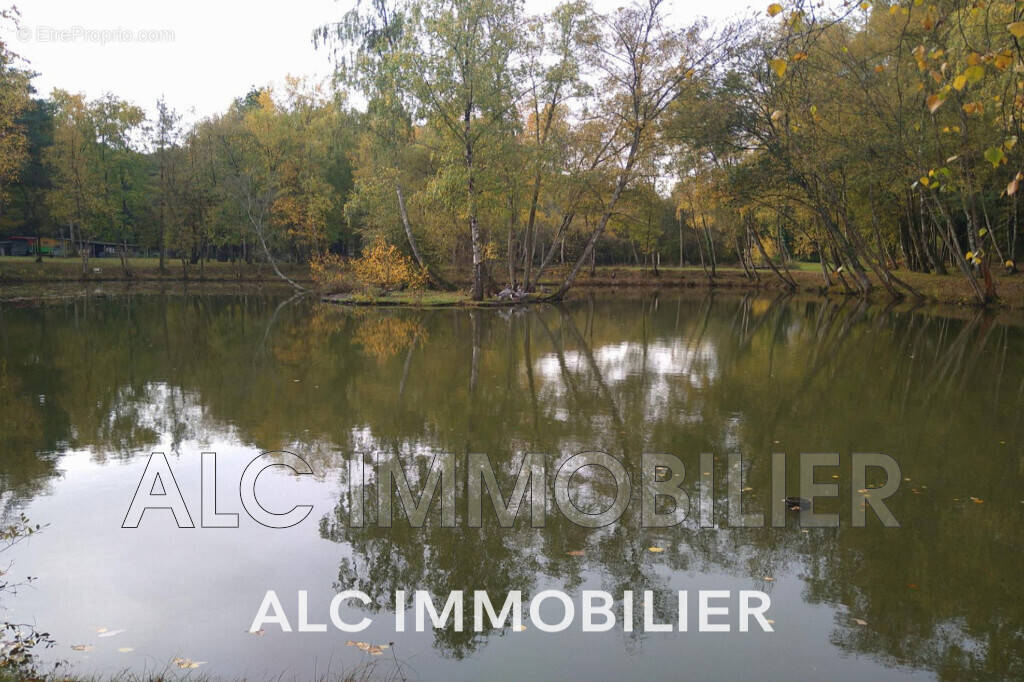 Terrain à SAINT-LEONARD-DES-BOIS