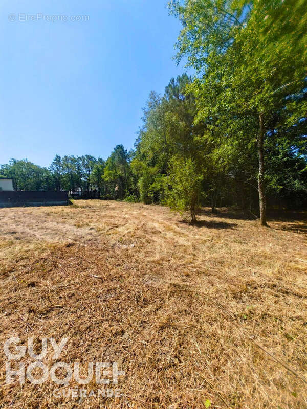A vendre - Terrain de 1169 m² à FEREL - photo 3