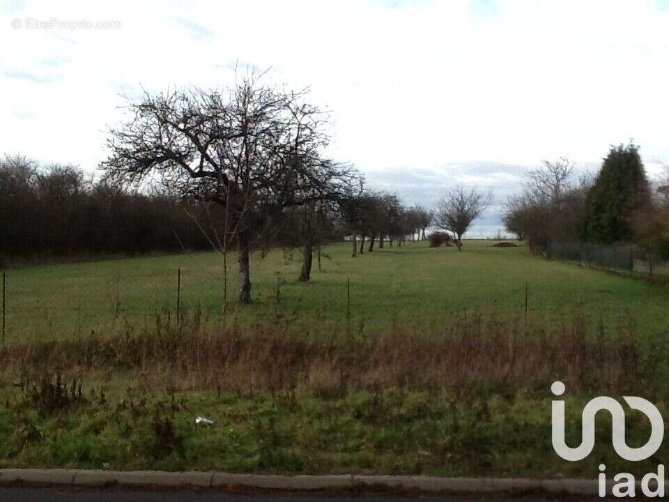 Photo 6 - Maison à ETZLING