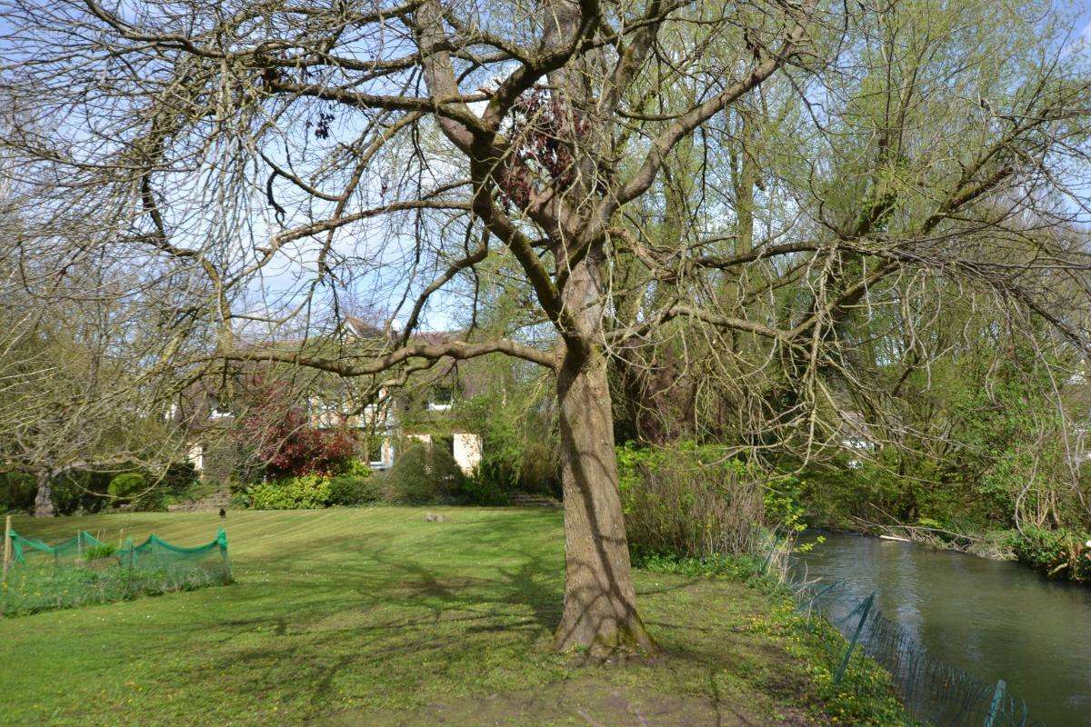 Maison à CANY-BARVILLE