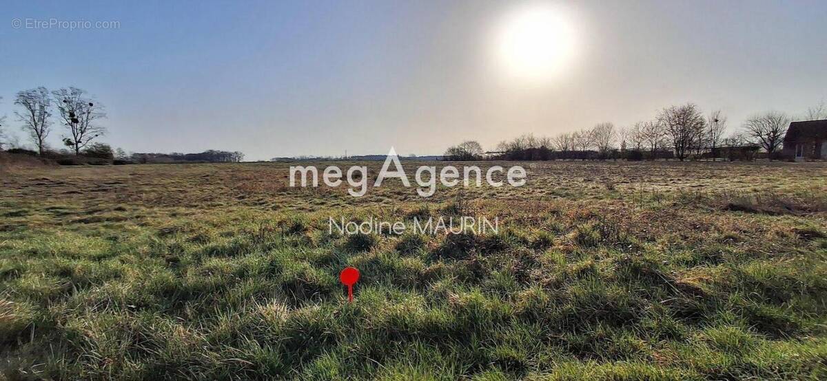 Terrain à SOINGS-EN-SOLOGNE