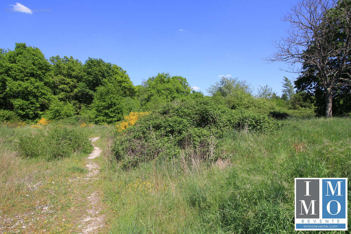 Terrain à VIERZON