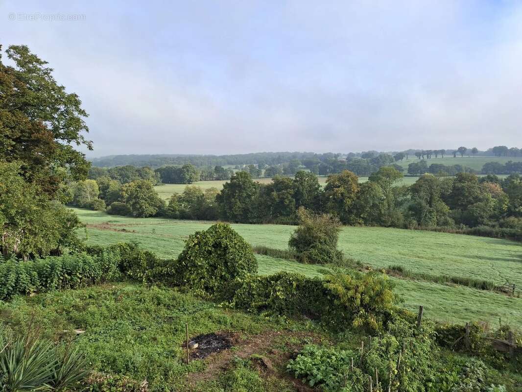 Propriété historique avec dépendances et 31 hectares de terrain - photo 3