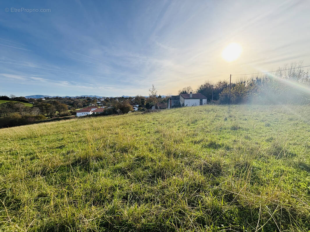 Terrain à ARBONNE