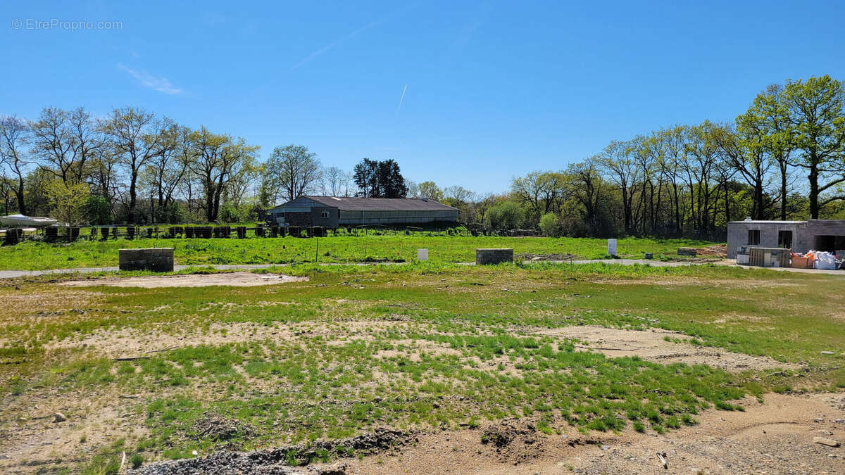 Terrain à LOCOAL-MENDON
