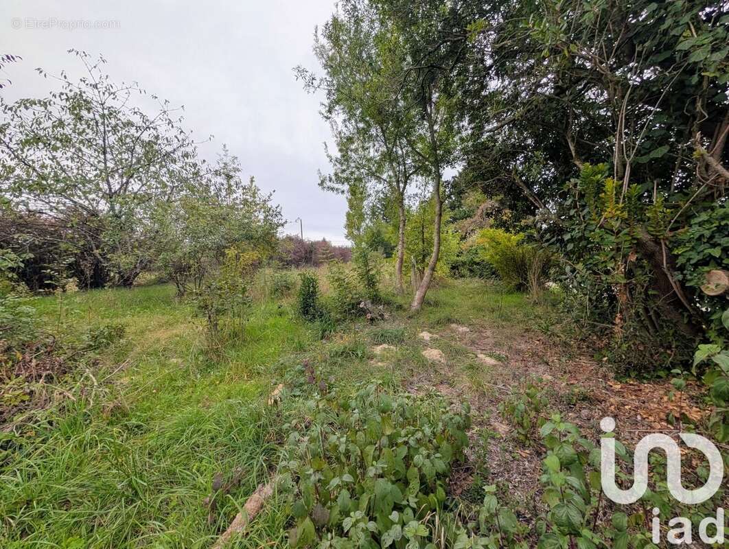 Photo 3 - Terrain à CAMPSAS