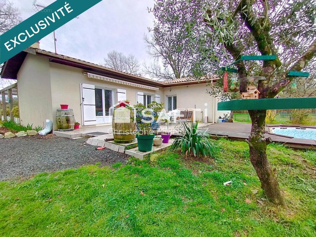 Photo 1 - Maison à BLAYE