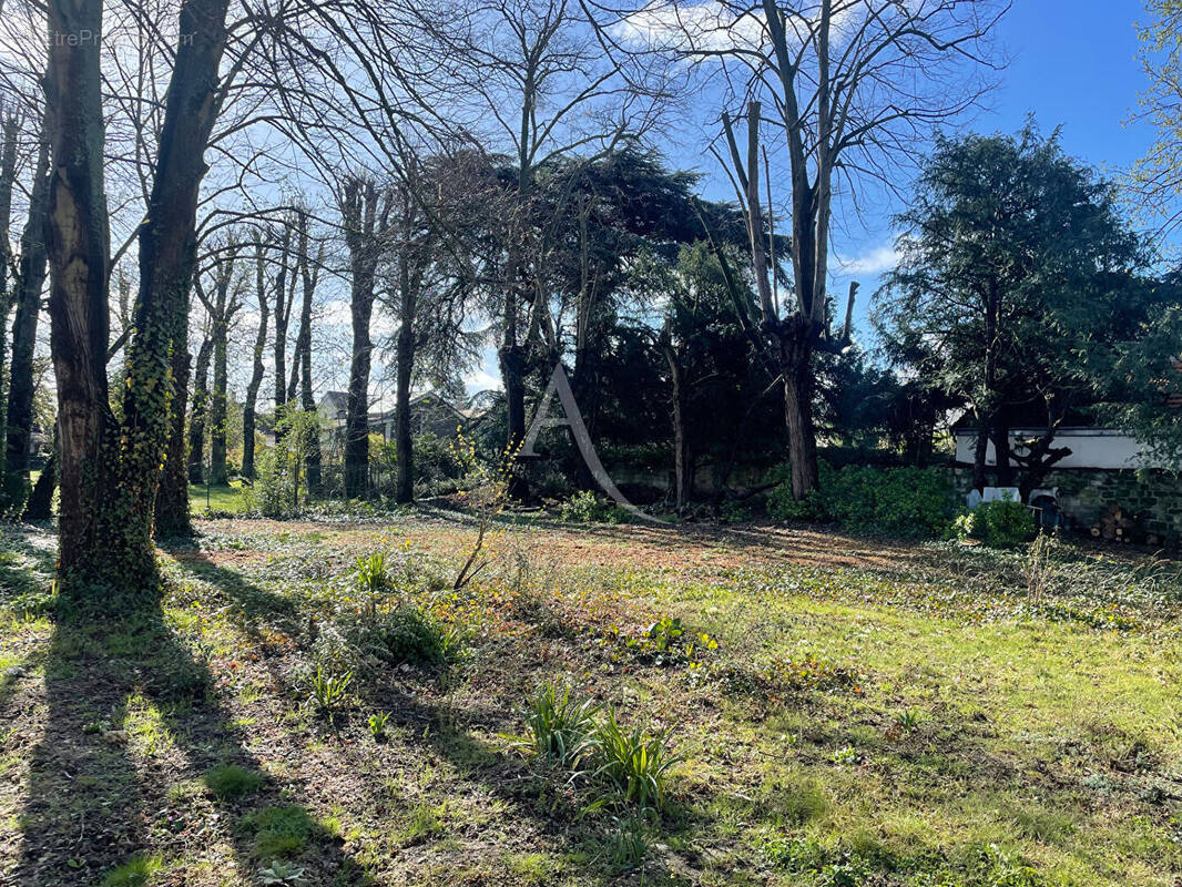 Terrain à LE MESNIL-LE-ROI