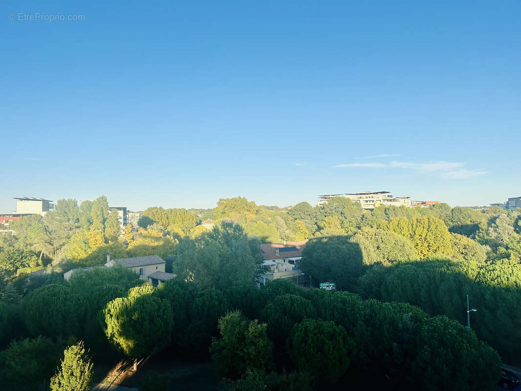 Exclusivite la lironde port marianne - lumineux t3 75m2 , terrasse 20m2 + garage sous-sol - photo 2
