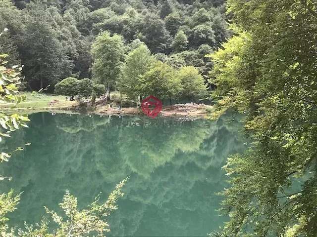 maison de village avec jardinet - photo 14