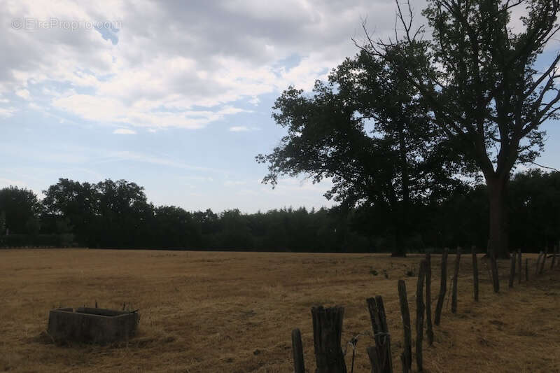 Terrain à bâtir - photo 3