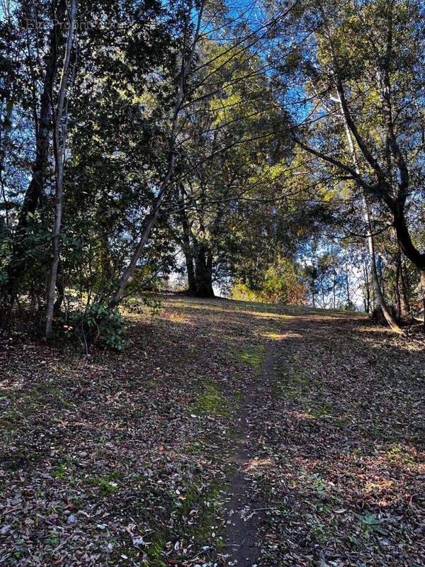 Terrain à CERVIONE
