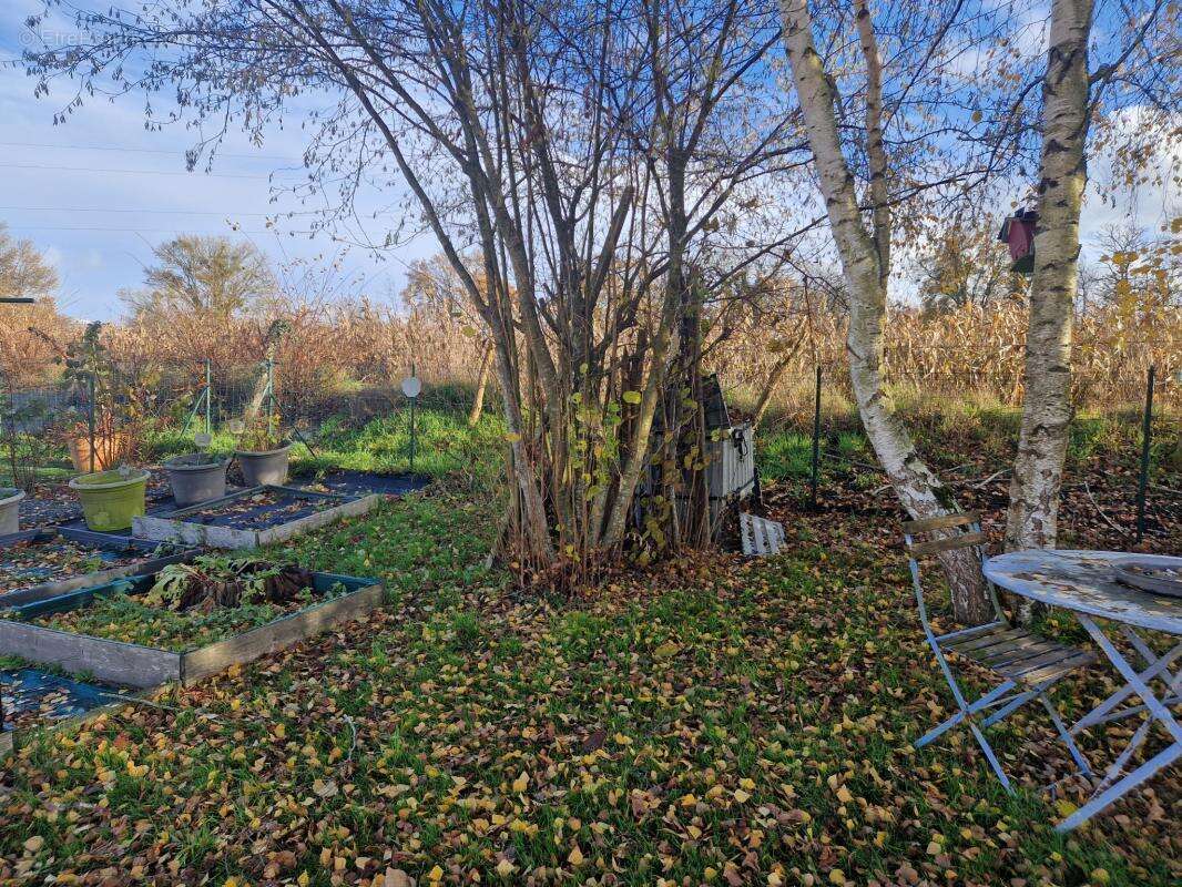 Maison à NUILLE-LE-JALAIS