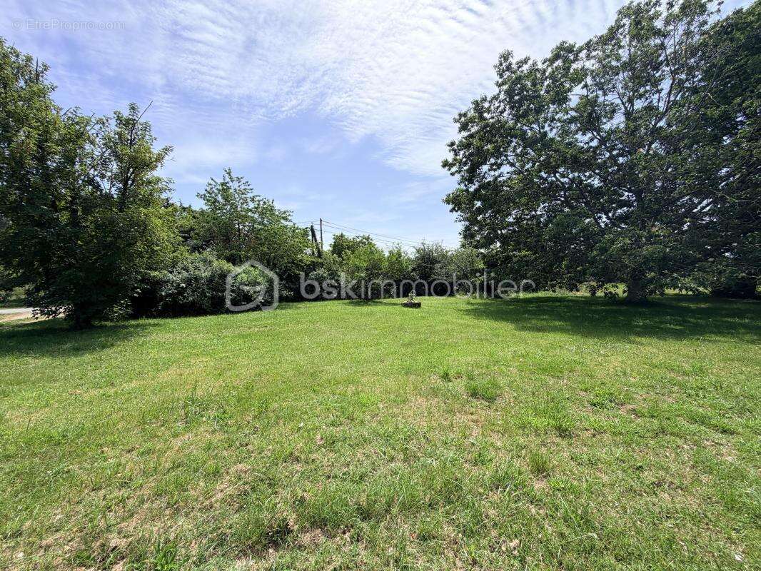 Maison sur sous sol à rénover sur un terrain de 5 761m² - photo 5