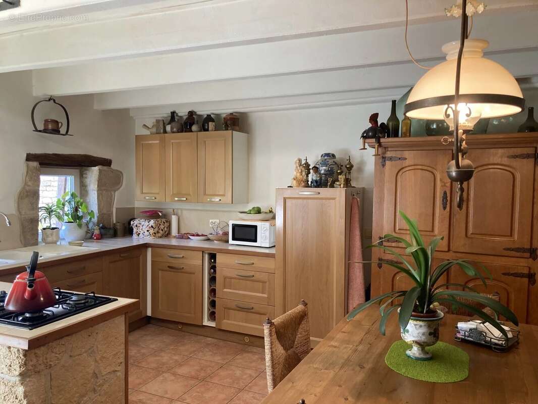 Maison à SALLES-DE-VILLEFAGNAN