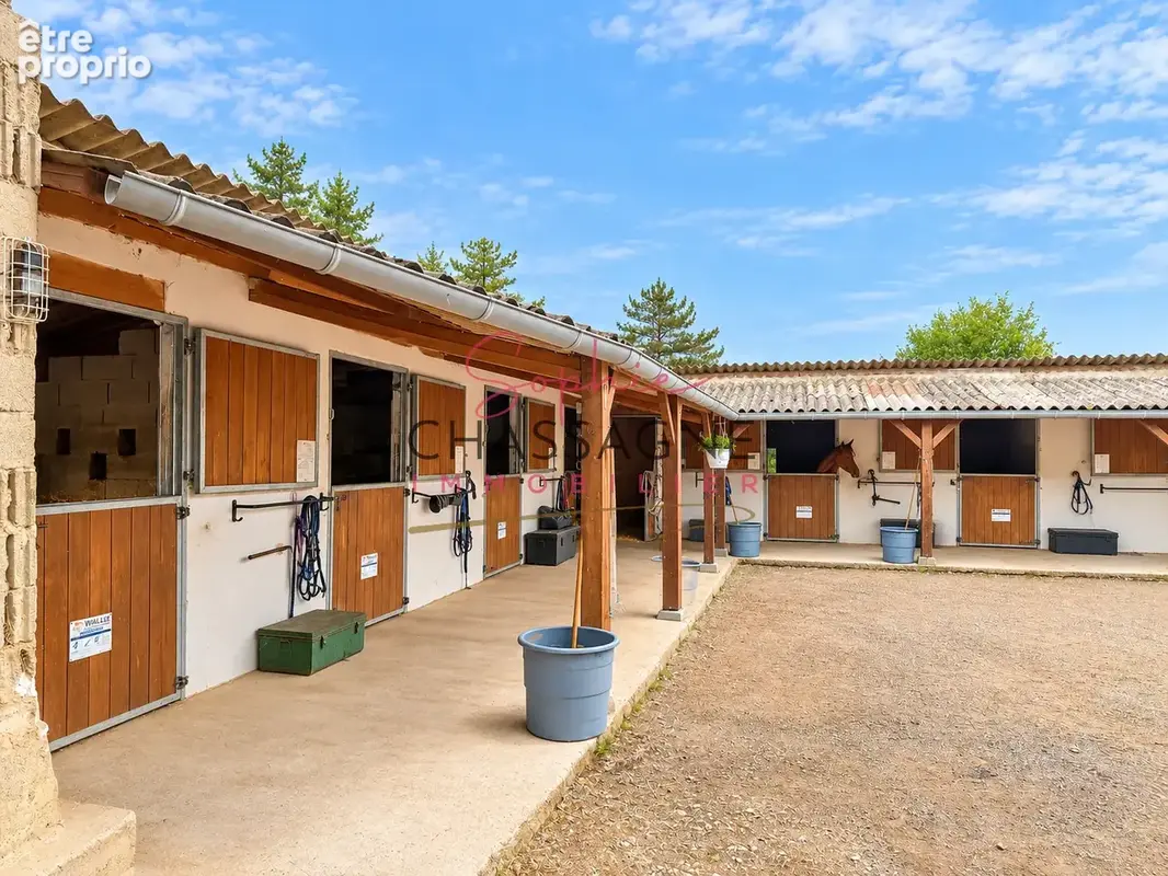 Centre équestre et écurie de propriétaires   plus de 10 hectares   un logement - proche agen (47) - photo 18