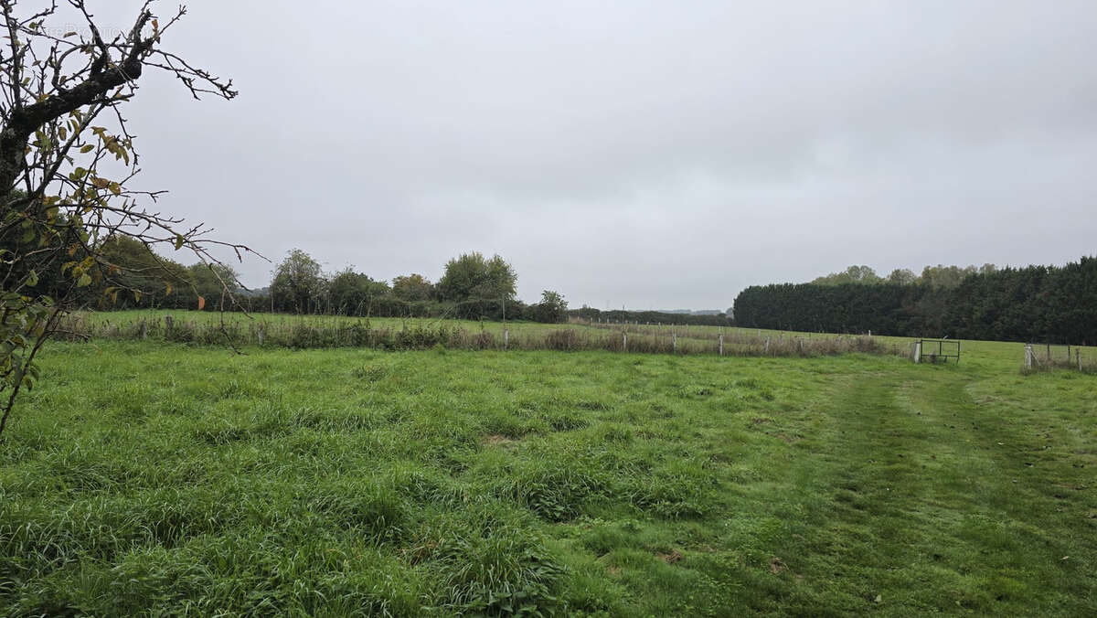 Maison à DUN-LE-POELIER