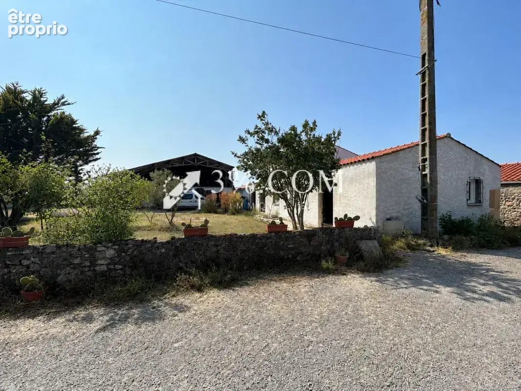Ensemble immobilier au coeur du marais   Terrain de 9 480 m2 - photo 7