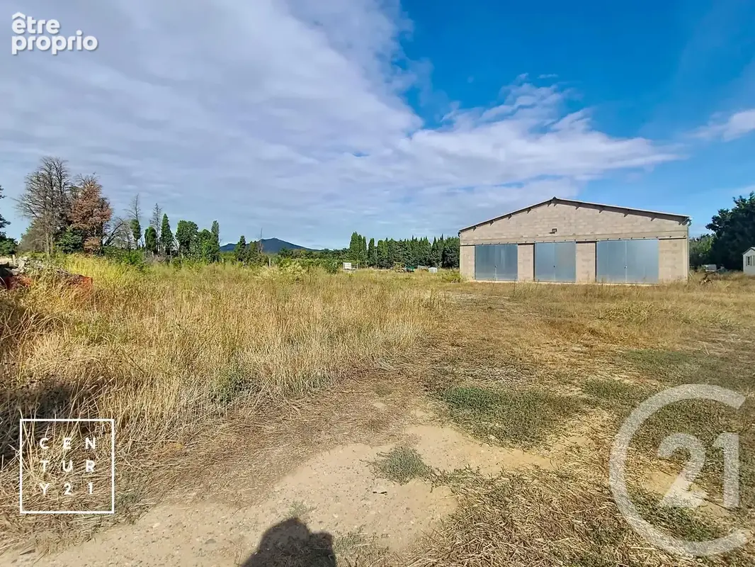 Terrain 24 425 m² à vendre à Corneilla-La-Riviere (66550) - photo 13