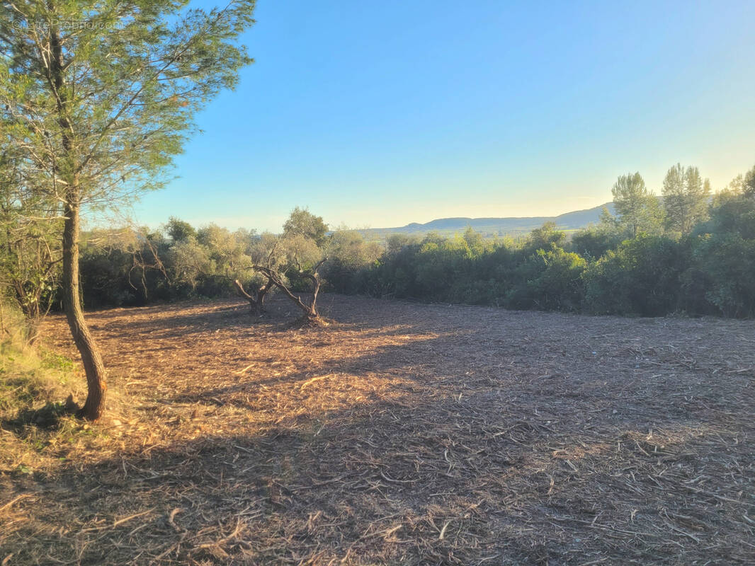 Terrain à CLARENSAC