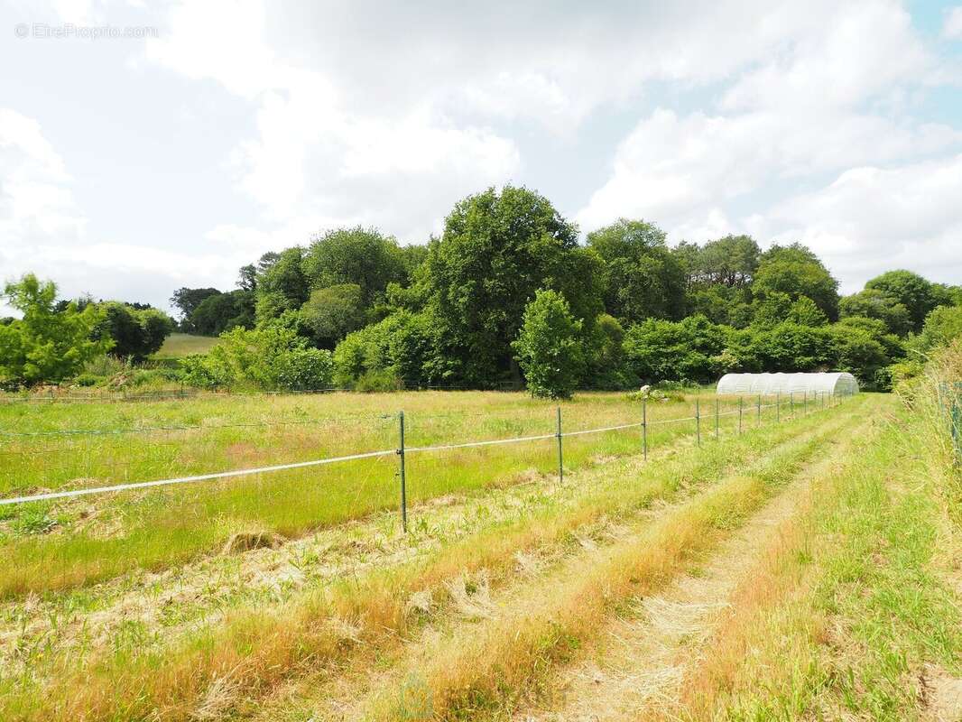 Très belle contemporaine sur 19 000 m² de parc paysager avec dépendance et paddock - photo 19