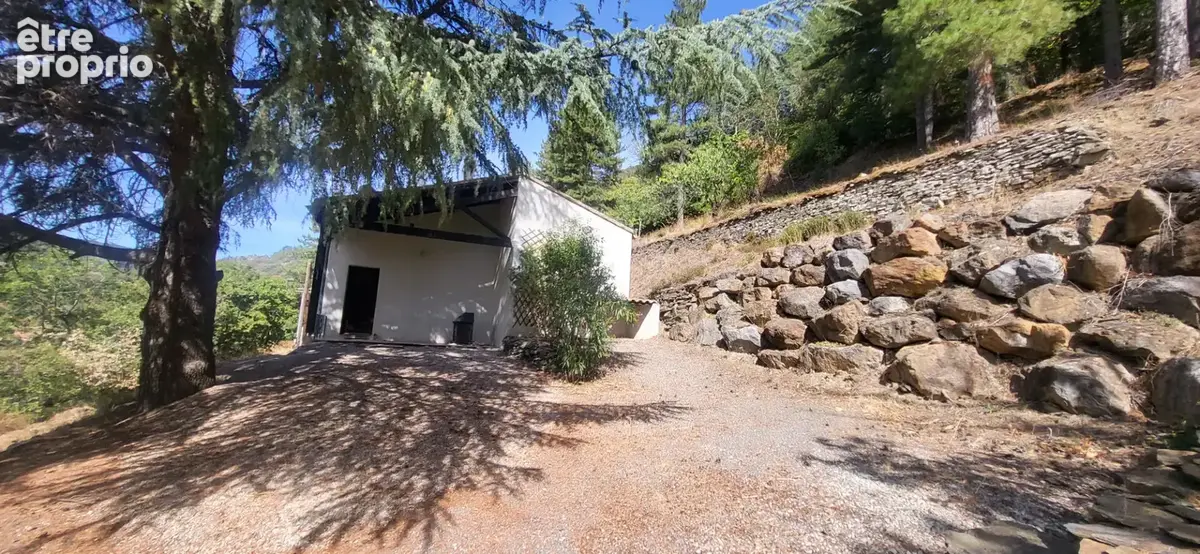 ne maison de plain-pied au calme, avec 1 500 m² de terrain arboré un véritable havre de paix à 5 minutes de Caunes-Minervois ! - photo 16