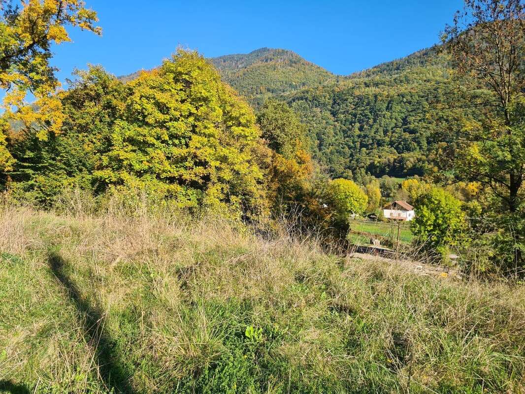 Terrain à ALBERTVILLE