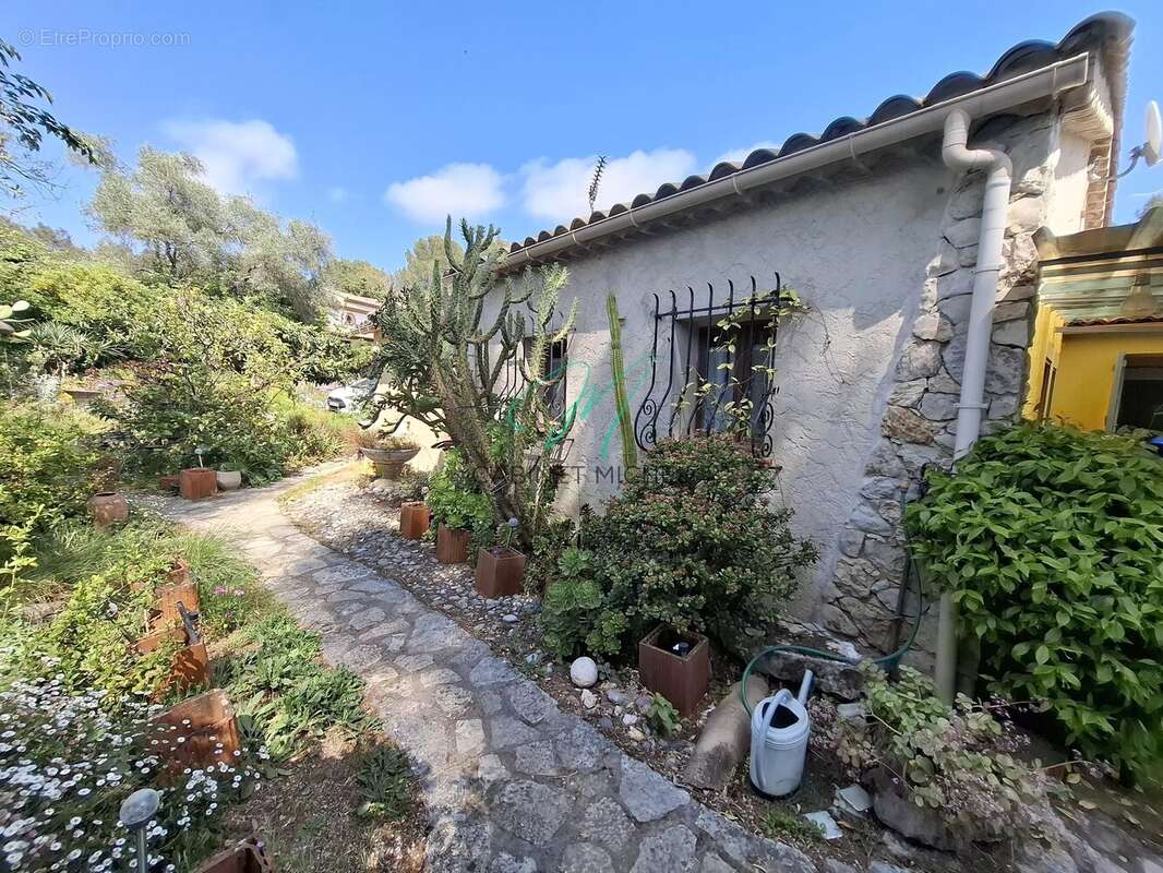 Maison à ROQUEFORT-LES-PINS