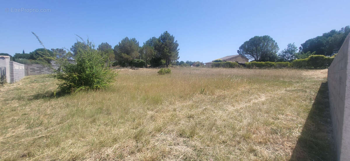 Terrain viabilise villemoustaussou - photo 3