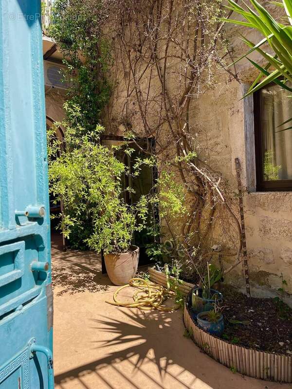 Maison 406 m² à Pomerols  - photo 6