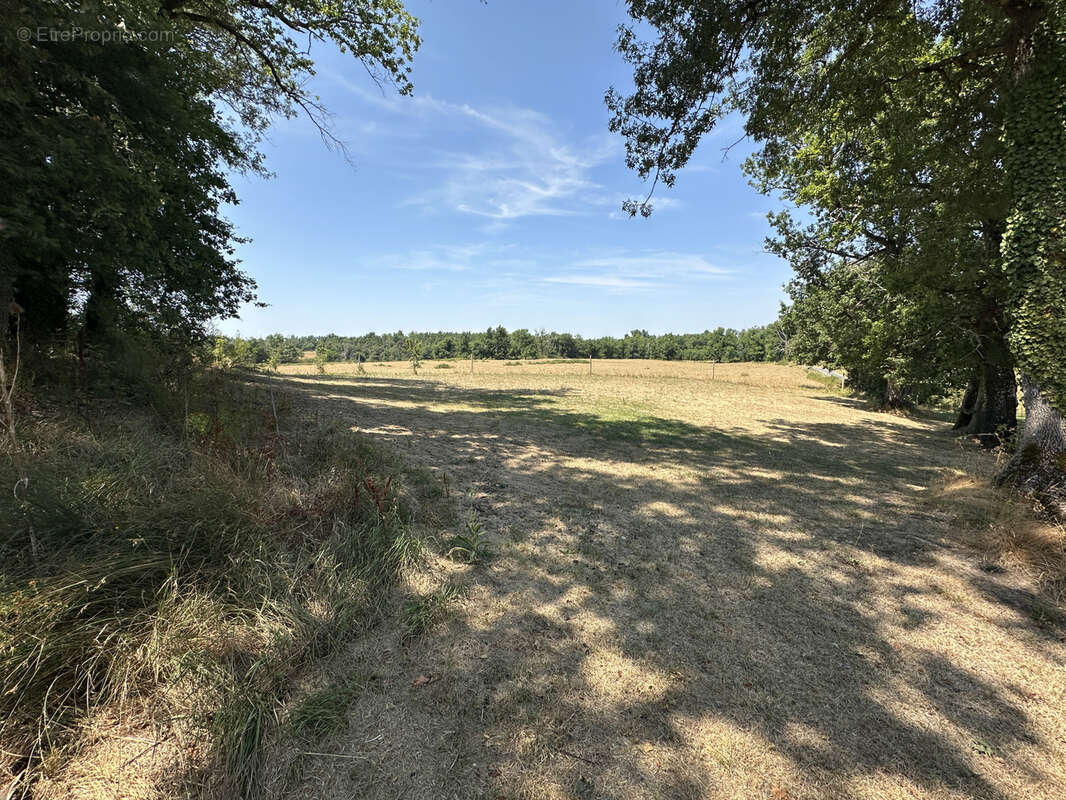 Ensemble immobilier rénové comprenant une maison principale et un gîte avec piscine - photo 25