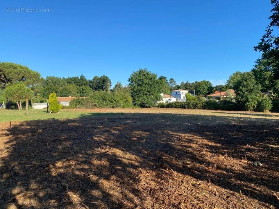 Terrain à TOULOUGES