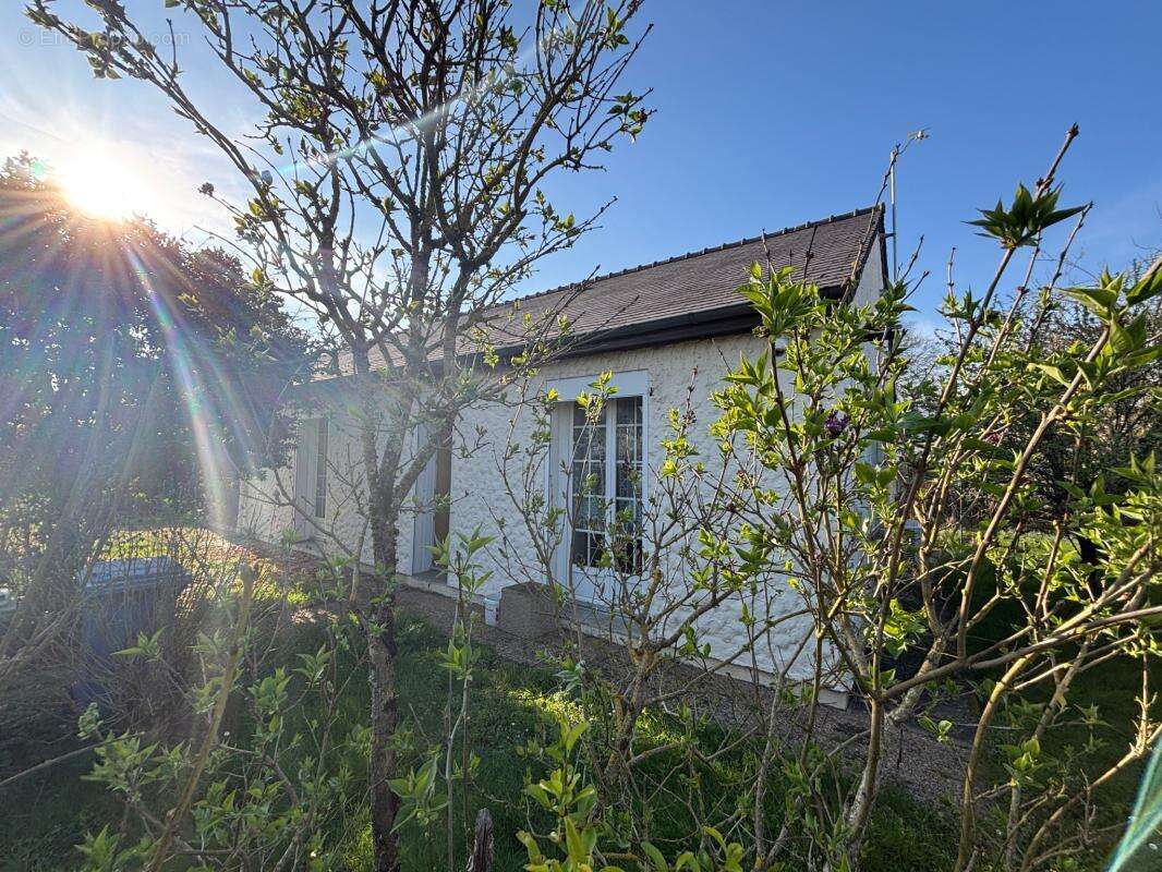 Maison à THOUARE-SUR-LOIRE