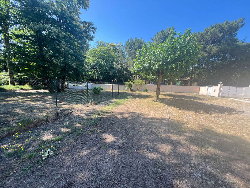 Terrain à LES MATHES